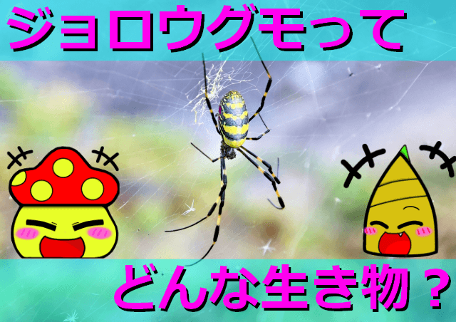 Thumbnail of post image 107